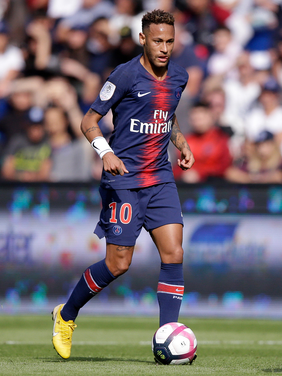 提供了新的 提供了新的